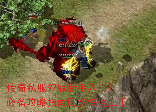 ����˽��97���������ţ��ر�����ָ�������������