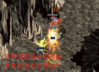 ��ο���������ս���鵥ְҵ��ɫ�ȼ���