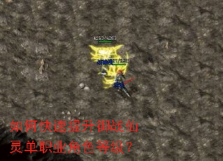 ��ο���������ս���鵥ְҵ��ɫ�ȼ���