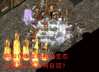 ����11����ְ������̬����ǿװ����λ�ȡ��