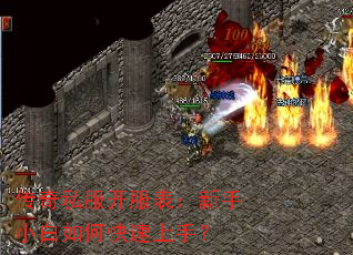 ����˽��������������С����ο������֣�