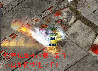 ����˽��������������С����ο������֣�