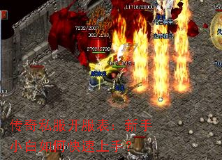 ����˽��������������С����ο������֣�