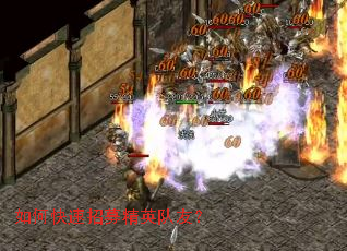 ��ο�����ļ��Ӣ���ѣ�