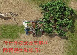 ����������������Щ���ع��ɺͼ��ɣ�