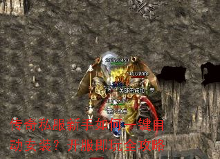 ����˽���������һ���Զ���װ����������ȫ����