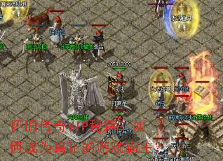 ���ɴ���VIP�ؼ�����γ�Ϊ��������Ϸ������