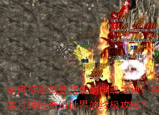 ��������ߵ�������Ļ�֮�أ�̽����������������ռ����ԣ�