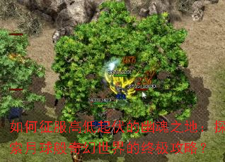 ��������ߵ�������Ļ�֮�أ�̽����������������ռ����ԣ�