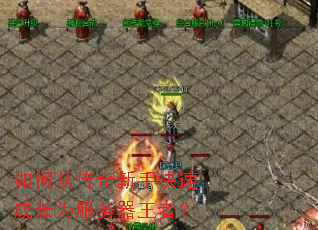 ��δӴ������ֿ��ٳɳ�Ϊ���������ߣ�