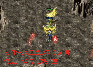 ����˽����ͨ��������ο����������Ч�򱦣�