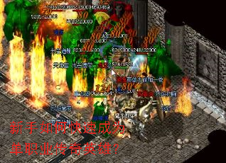 ������ο��ٳ�Ϊ��ְҵ����Ӣ�ۣ�