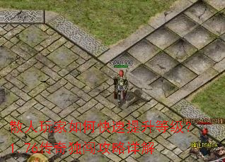 ɢ�������ο��������ȼ���1.76��������������