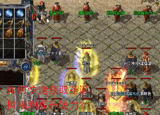 ��ο��ٻ�ȡʥ������������ս����