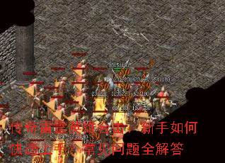 ��������Ӣ�ۺϻ���������ο������֣���������ȫ���