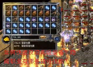 ��ο��ٻ�ȡ�߼�װ��������ְҵ����Щ���ؼ��ܣ�