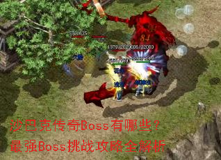 ɳ�Ϳ˴���Boss����Щ����ǿBoss��ս����ȫ����