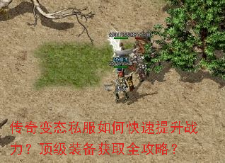 �����̬˽����ο�������ս��������װ����ȡȫ���ԣ�