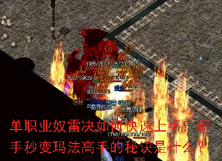 ��ְҵū�׾���ο������֣���������귨���ֵ��ؾ���ʲô��