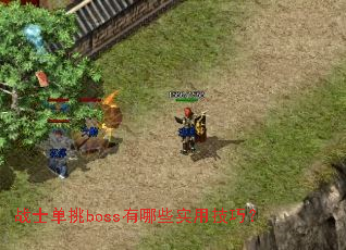 սʿ����boss����Щʵ�ü��ɣ�