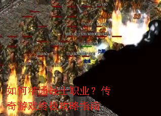 ��ξ�ͨսʿְҵ��������Ϸ�ռ�����ָ��