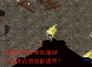 ������ô���˽��GM�������Ϸ�¾��磿