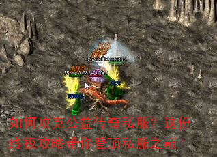 ��ι��˹��洫��˽��������ռ����Դ���Ƕ�˽��֮��