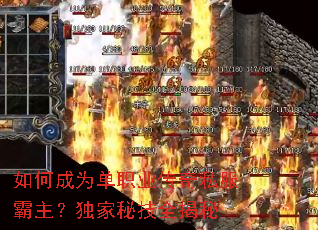 ��γ�Ϊ��ְҵ����˽�������������ؼ�ȫ����
