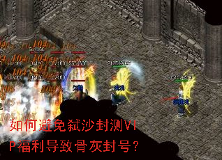 ��α���߱ɳ���VIP�������¹ǻҷ�ţ�