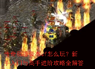 ����˽������sf��ô�棿������������ֽ��׹���ȫ���