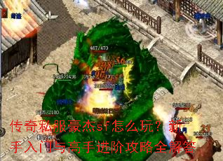 ����˽������sf��ô�棿������������ֽ��׹���ȫ���
