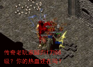 ��������һع�1��88���������Ѫ������