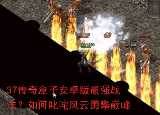 37传奇盒子安卓版最强战法?如何叱咤风云勇攀巅峰 37传奇盒子安卓版最强战法?如何叱咤风云勇攀巅峰