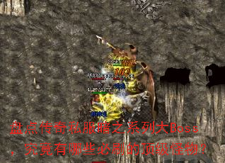 �̵㴫��˽����֮ϵ�д�Boss����������Щ��ˢ�Ķ������