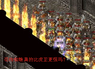 ����֩����ıȻ�����ǿ��