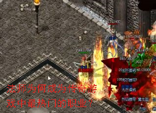 ��ʦΪ�γ�Ϊ������Ϸ�������ŵ�ְҵ��