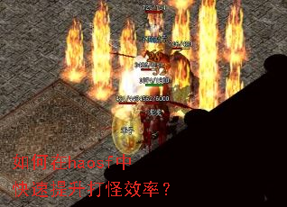 �����haosf�п����������Ч�ʣ�