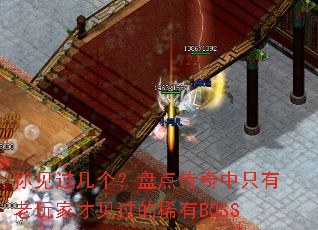 你见过几个?盘点传奇中只有老玩家才见过的稀有BOSS 你见过几个?盘点传奇中只有老玩家才见过的稀有BOSS