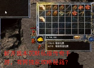 �¿��ұ���Ĭ˽���������Σ��кζ��ҹ����ؼ���
