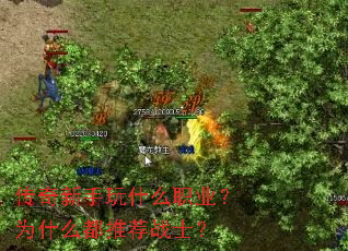 传奇新手玩什么职业?为什么都推荐战士? 传奇新手玩什么职业?为什么都推荐战士?