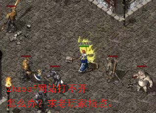 zhaosf��վ�򲻿���ô�죿�������ָ�㡣