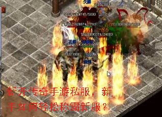 新开传奇手游私服,新手如何轻松称霸新服? 新开传奇手游私服,新手如何轻松称霸新服?