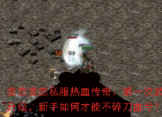 ��̬��̬˽����Ѫ���棺��һ������������������β��ܲ��鵶Ѫ����