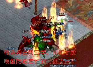 ���������뱦�ף���β��ܻ����������Եľ���������