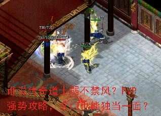 ˭˵�����ʿ�������磿PVPǿ�ƹ��ԣ�����Ҳ�ܶ���һ�棿