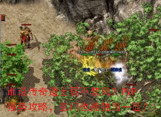 ˭˵�����ʿ�������磿PVPǿ�ƹ��ԣ�����Ҳ�ܶ���һ�棿