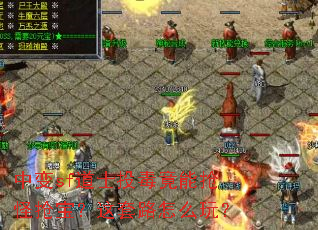中变sf道士投毒竟能抢怪抢宝?这套路怎么玩? 中变sf道士投毒竟能抢怪抢宝?这套路怎么玩?