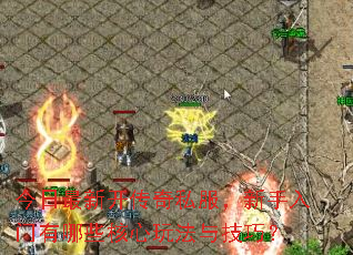 �������¿�����˽����������������Щ�����淨�뼼�ɣ�