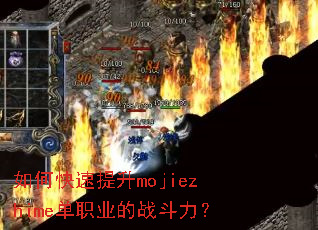 ��ο�������mojiezhime��ְҵ��ս������