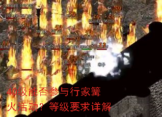 40级能否参与行家篝火活动?等级要求详解 40级能否参与行家篝火活动?等级要求详解